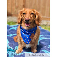 Load image into Gallery viewer, Small blue dog bandana collar
