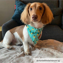 Load image into Gallery viewer, The Golden Pineapple Dog Bandana Collar
