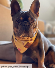 Load image into Gallery viewer, Medium dog bandana collar
