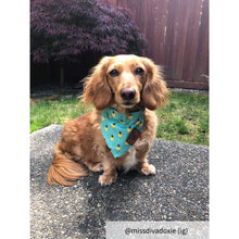 Load image into Gallery viewer, Small green dog bandana collar
