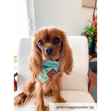 Load image into Gallery viewer, Medium green dog bandana collar
