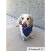 Load image into Gallery viewer, The Anchor Dog Bandana Collar
