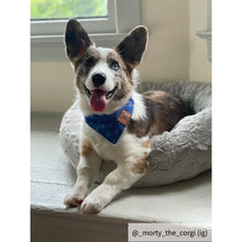 Load image into Gallery viewer, The Anchor Dog Bandana Collar
