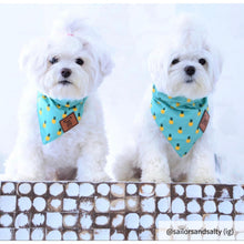 Load image into Gallery viewer, The Golden Pineapple Dog Bandana Collar
