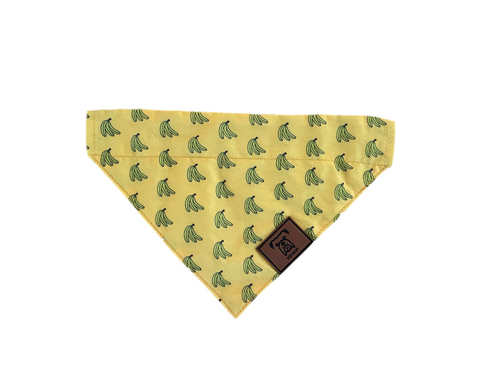 Dog over the collar bandana