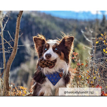 Load image into Gallery viewer, Medium Blue dog bandana
