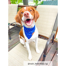 Load image into Gallery viewer, Small blue nautical dog bandana
