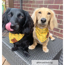 Load image into Gallery viewer, Yellow small dog bandana collar
