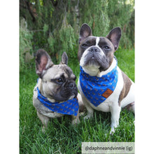 Load image into Gallery viewer, The Anchor Dog Bandana Collar
