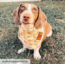 Load image into Gallery viewer, Small yellow dog bandana collar
