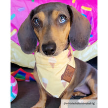 Load image into Gallery viewer, Ice cream dog bandana collar
