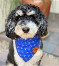 Load image into Gallery viewer, The Anchor Dog Bandana Collar
