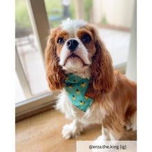 Load image into Gallery viewer, Green Dog bandana collar
