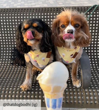 Load image into Gallery viewer, Small ice cream bandana collar
