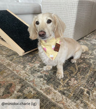 Load image into Gallery viewer, Ice cream dog bandana collar
