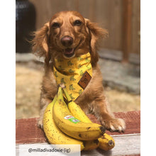 Load image into Gallery viewer, The Triple Banana Dog Bandana Collar
