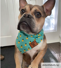 Load image into Gallery viewer, Medium dog bandana collar
