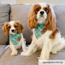 Load image into Gallery viewer, Small pineapple dog bandana collar
