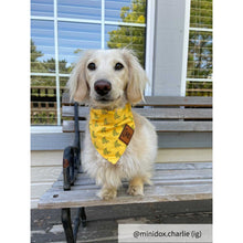 Load image into Gallery viewer, Small yellow dog bandana collar
