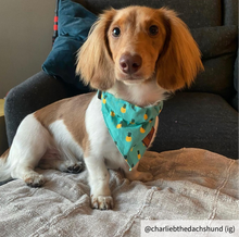 Load image into Gallery viewer, Pineapple small dog bandana collar
