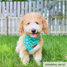 Load image into Gallery viewer, The Golden Pineapple Dog Bandana Collar
