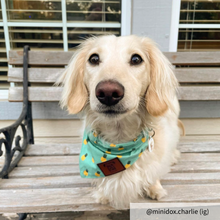 Load image into Gallery viewer, Small pineapple dog bandana collar
