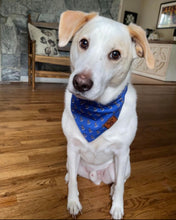 Load image into Gallery viewer, The Golden Pineapple Dog Bandana Collar
