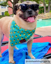 Load image into Gallery viewer, Pineapple medium dog bandana collar
