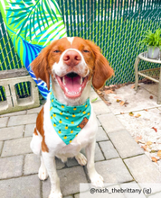 Load image into Gallery viewer, The Golden Pineapple Dog Bandana Collar
