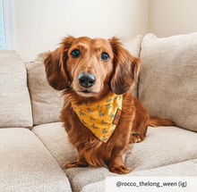 Load image into Gallery viewer, The Triple Banana Dog Bandana Collar
