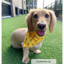 Load image into Gallery viewer, Dog bandana collar small yellow
