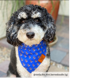 Load image into Gallery viewer, The Anchor Dog Bandana Collar
