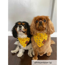 Load image into Gallery viewer, Bandana dog collar yellow small
