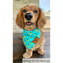 Load image into Gallery viewer, Pineapple Dog bandana collar 
