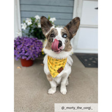 Load image into Gallery viewer, Small dog bandana collar
