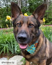 Load image into Gallery viewer, Medium pineapple dog bandana collar
