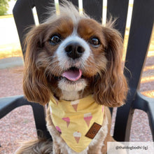 Load image into Gallery viewer, Dog bandana collar
