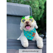 Load image into Gallery viewer, Dog bandana collar green
