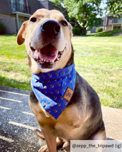 Load image into Gallery viewer, The Anchor Dog Bandana Collar
