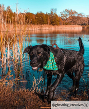 Load image into Gallery viewer, Medium green dog bandana collar
