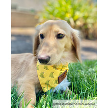 Load image into Gallery viewer, Dog bandana collar small yellow
