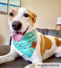 Load image into Gallery viewer, Medium green bandana collar
