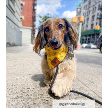 Load image into Gallery viewer, Dog bandana collar
