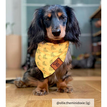 Load image into Gallery viewer, Bandana collar dog small yellow
