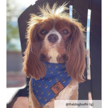 Load image into Gallery viewer, Dog bandana collar
