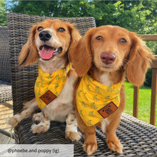 Load image into Gallery viewer, The Triple Banana Dog Bandana Collar
